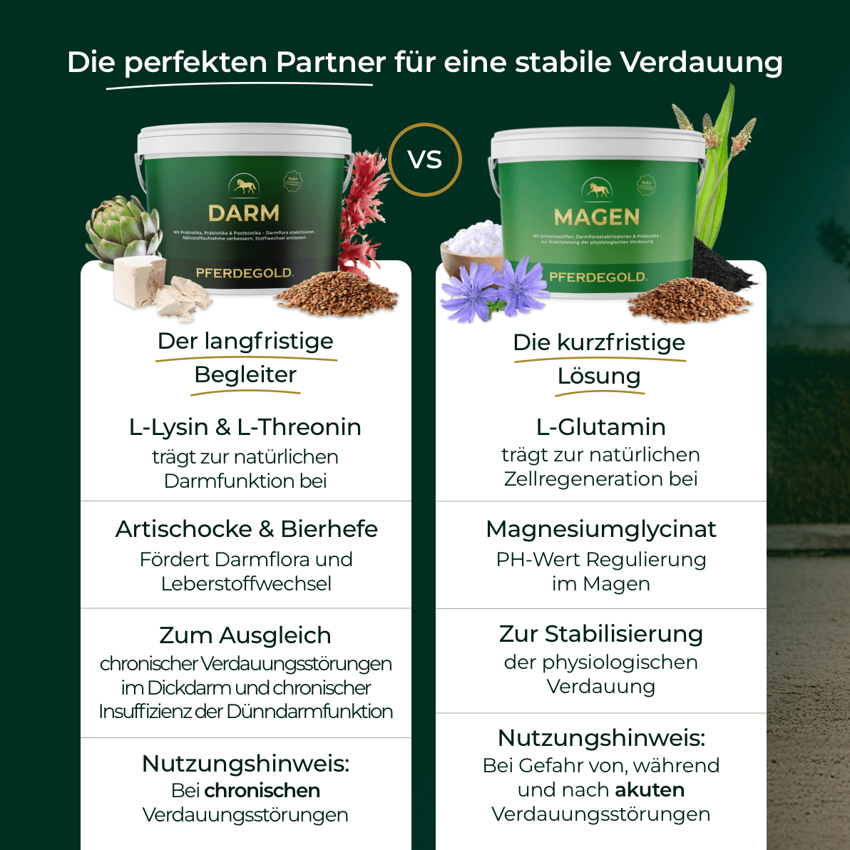 Pferdegold Darm ist ein Ergänzungsfuttermittel für Pferde mit der Bezeichnung "DARM" und bietet eine stabile Verdauung - ideal als Ergänzungsfutter zur Unterstützung der Darmgesundheit Ihres Pferdes.