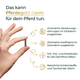 Hand hält eine Kapsel; Text nennt Vorteile von Pferdegold® Stressbalance (Darm + Nerven) für Pferde, wie Förderung der Verdauung und Unterstützung der Nerven bei Stress.