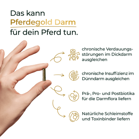 Hand hält eine Kapsel; Text nennt Vorteile von Pferdegold® Stressbalance (Darm + Nerven) für Pferde, wie Förderung der Verdauung und Unterstützung der Nerven bei Stress.
