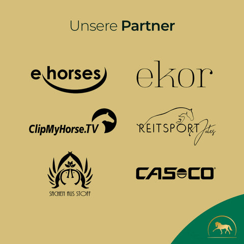 Unter der Überschrift Unsere Partner zeigen sich die Logos von sechs Unternehmen auf beigem Hintergrund; unten ist das Pferdegold®-Logo, passend zu Elektrolyte + gratis Insektenschutzspray.