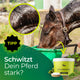Ein Pferd trinkt aus einem grünen Eimer, Schweiß ist sichtbar. Text: Schwitzt Dein Pferd stark? Probieren Sie Pferdegold® Elektrolyte + gratis Insektenschutzspray.
