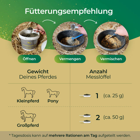 Infografik mit Fütterungsanleitung für Pferdegold® Elektrolyte + gratis Insektenschutzspray, mit Portionsangaben für Ponys und Pferde mittels Messlöffel.