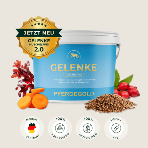 Eine blaue Pferdegold Gelenke Muschelfrei 2.0 Wanne für Pferde, mit natürlichen Inhaltsstoffen und Qualitätssiegeln, die Gelenke, Sehnen und Bänder unterstützen.
