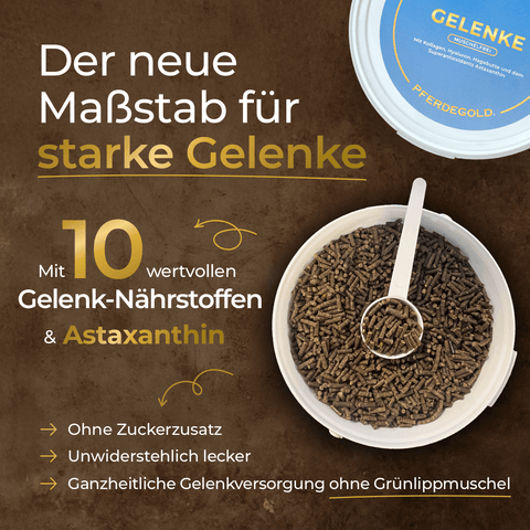 Ein runder Behälter mit Pferdegold Gelenke Muschelfrei 2.0 Ergänzungspellets für Pferde, mit einem Text, der die Unterstützung für Gelenke, Sehnen und Bänder hervorhebt und die wichtigsten nützlichen Inhaltsstoffe auflistet.