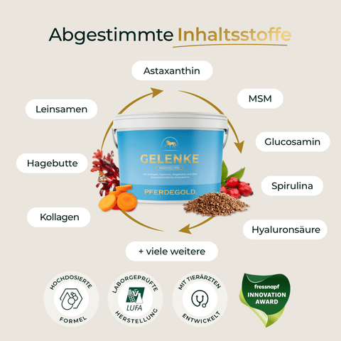 Ein Eimer Pferdegold Gelenke Muschelfrei 2.0 Ergänzungsfuttermittel für Pferde, mit beschrifteten Inhaltsstoffsymbolen, Auszeichnungsplaketten und Vorteilen für Sehnen und Bänder.