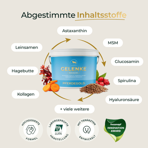 Abgebildet ist eine 3 kg Nachfüllpackung Pferdegold® Gelenke Muschelfrei, umrahmt von den Hauptinhaltsstoffen und verschiedenen Auszeichnungen und Gütesiegeln.