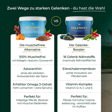 Vergleich von Pferdegold Gelenke Muschelfrei 2.0 mit einem zweiten Produkt: Inhaltsstoffe und Vorteile für Gelenke, Sehnen und Bänder anschaulich auf grünem Hintergrund dargestellt.
