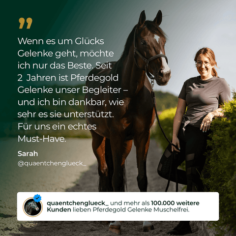 Eine Frau in Reitkleidung steht lächelnd neben einem Pferd und preist in einem Text Pferdegold® Gelenke Muschelfrei Nachfüllpack 3kg Gelenkergänzung an.