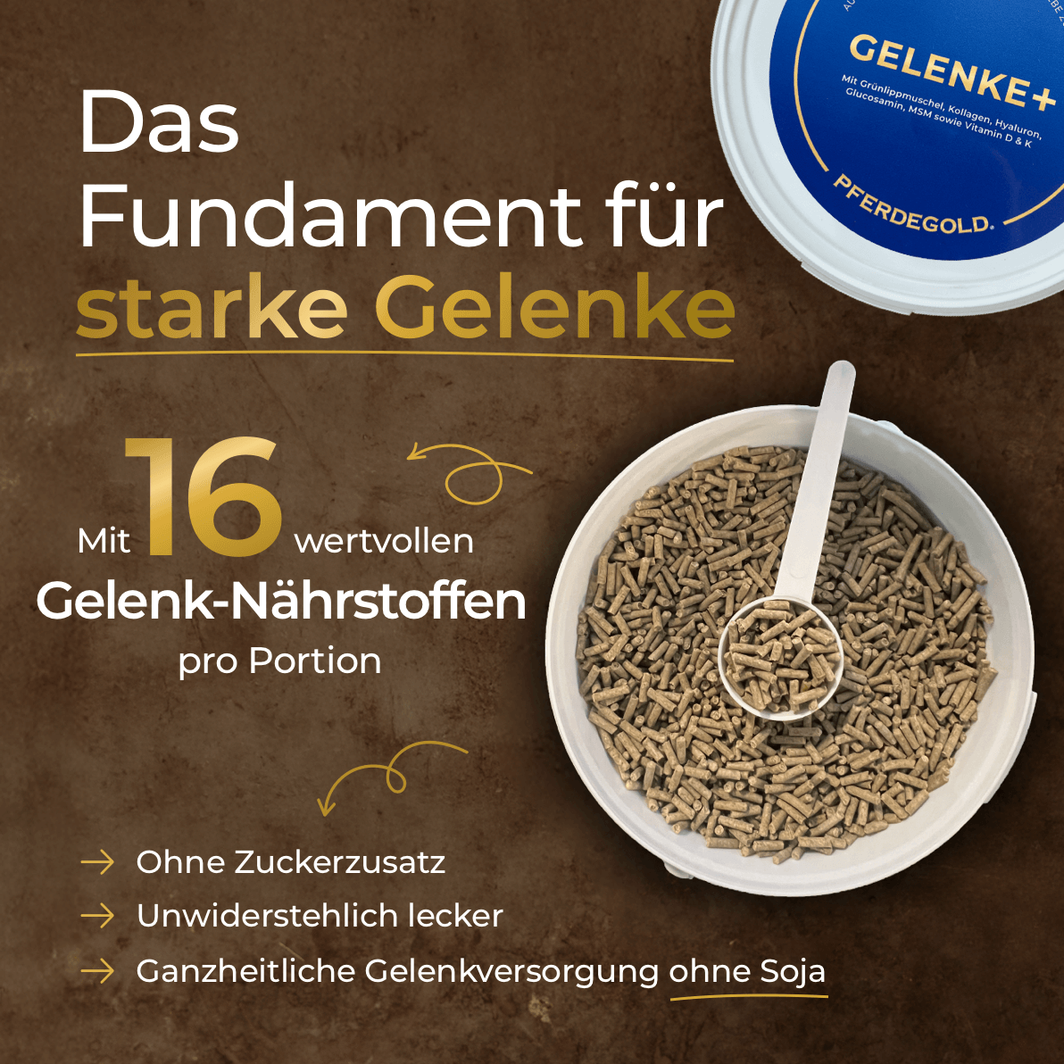 Eine Schale mit Futterpellets neben einem Behälter mit der Aufschrift Pferdegold Gelenke+, auf dem ein deutscher Text über die Vorteile für die Gelenkgesundheit Ihres Pferdes steht.