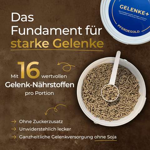 Eine Schale mit braunen Pferdegold®-Pellets steht neben einem blauen Behälter mit der Aufschrift "3 für 2 - Gelenke+" von Pferdegold® auf braunem Grund.