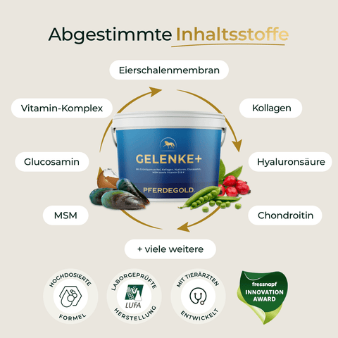 Eine Packung Pferdegold® Gelenke+ Nachfüller 3für2 mit Symbolen für die wichtigsten Inhaltsstoffe und unten abgebildeten Auszeichnungsabzeichen.
