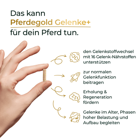 Hand hält eine Tablette; daneben Text und Icons zu Vorteilen von 3 für 2 - Gelenke+ von Pferdegold®, dem bewährten Supplement für gesunde Pferde-Gelenke.