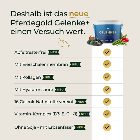 Der Text listet die Vorteile von „Pferdegold Gelenke+“ von Pferdegold mit Häkchen auf und hebt dabei die optimale Unterstützung für gesunde Gelenke bei Pferden hervor. Das Produktbild auf der rechten Seite zeigt das Originalprodukt „Gelenke+“ von Pferdegold.