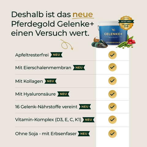 Gelenke+ Nachfüllpack 3kg von Pferdegold® enthält Kollagen, Hyaluron, Vitamine und pflanzliche Inhaltsstoffe zur Unterstützung der Gelenke.