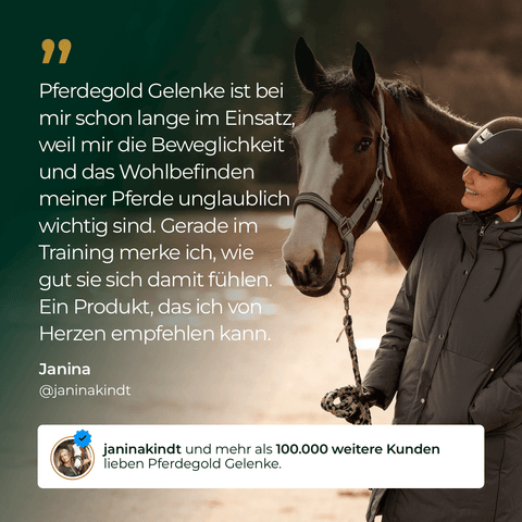 Eine lächelnde Frau in Reitkleidung steht neben einem braunen Pferd, das sie sanft am Zaumzeug festhält. Sie zeigt die Verbindung, die Pferdegold® 3 für 2 - Gelenke+ für gesunde Pferdegelenke unterstützt.
