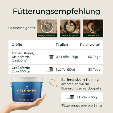 Infografik mit Fütterungshinweisen für Pferdegold® Gelenke+ Nachfüllpack 3kg, einschließlich Dosierung und Dauer für Pferde.