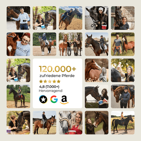 Collage von Menschen mit Pferden, zentraler Text hebt 120.000+ zufriedene Pferde mit Pferdegold® 3 für 2 - Gelenke+ und hohe Kundenbewertungen hervor.