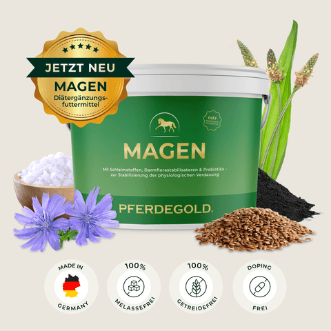 Grüner Pferdegold Magen Nahrungsergänzungsmittel-Container mit Pflanzen und Zutaten, mit Pferdegold Magen Nahrungsergänzungsmittel Vorteile in Icons unten.