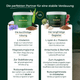 Pferdegold® Magen-Darm Kur: Ergänzungsfuttermittel für Pferde zur Unterstützung von Magen und Darm, fördert die Verdauung und das Wohlbefinden Ihres Pferdes.