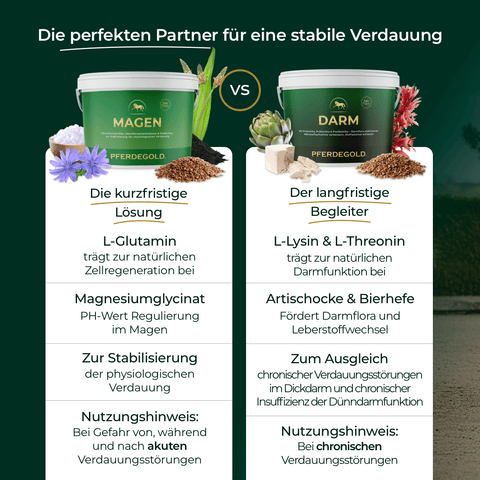 Pferdegold® Magen-Darm Kur: Ergänzungsfuttermittel für Pferde zur Unterstützung von Magen und Darm, fördert die Verdauung und das Wohlbefinden Ihres Pferdes.