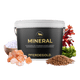 Ein schwarzer „Pferdegold Mineral 2.0“-Eimer wird präsentiert, vor dem Salz, Samen, grüne Blätter und Rotalgen angeordnet sind, um dieses unverzichtbare Mineralfutter für Pferde für eine optimale Pferdeernährung hervorzuheben.