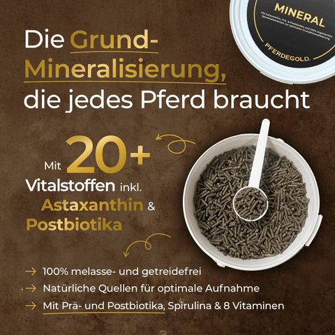 Eine Schale mit Pferdegold® Mineral 2.0 Nachfüllpack 3kg Pellets für Pferde, mit Text, der die Vorteile und Inhaltsstoffe beschreibt, auf braunem Hintergrund.
