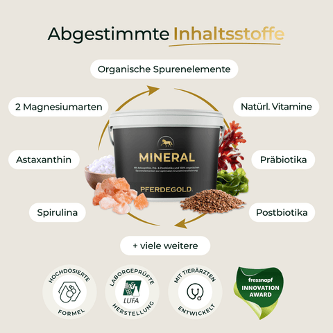 Eine 3 kg Nachfüllpackung von Pferdegold® Mineral 2.0, umgeben von Symbolen, die die natürlichen Inhaltsstoffe und Vorteile hervorheben.