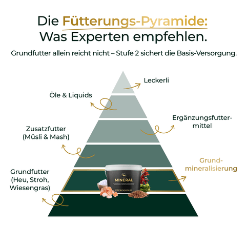 Ein Pyramidendiagramm zeigt die empfohlenen Fütterungsmengen von Pferdegold® Mineral 2.0 Nachfüllpack 3kg für jedes Stadium in Text und Bild.