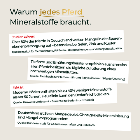 Infografik zum Thema Mineralstoffmangel bei Pferden, die die Bedeutung von Pferdegold® Mineral 2.0 Nachfüllpack 3kg als lebenswichtiges Ergänzungsfuttermittel für Pferde in Deutschland zeigt.