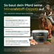 Ein Pferd mit Reiter, eine Dose „Pferdegold® Mineral Nachfüller 3für2“ und ein Text, der einen 6-monatigen Plan für die Mineralstoffergänzung bei Pferden beschreibt.
