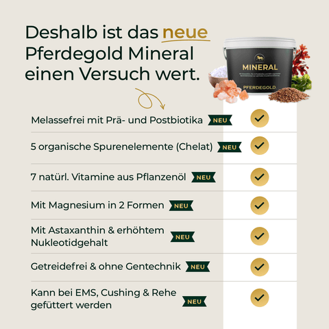 Erleben Sie die Vorteile von „Mineral 2.0“ von Pferdegold – unserem hochentwickelten Mineralfutter für Pferde, das speziell darauf abgestimmt ist, Ihr Pferd mit allen wichtigen Nährstoffen für optimale Vitalität zu versorgen. Eine übersichtliche Auflistung der wichtigsten Merkmale und Vorteile, hervorgehoben durch klare Symbole und eine umfassende Zutatenliste auf der rechten Seite, zeigt, warum dieses Pferdemineralfutter die ideale Lösung für eine ausgewogene Pferdeernährung ist.