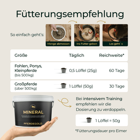 Tabelle mit Fütterungsempfehlung für Mineral 2.0 nach Pferdegröße, Tagesmenge und Fütterungsdauer, mit einem Pferdegold Mineral 2.0 Eimer am unteren Rand.