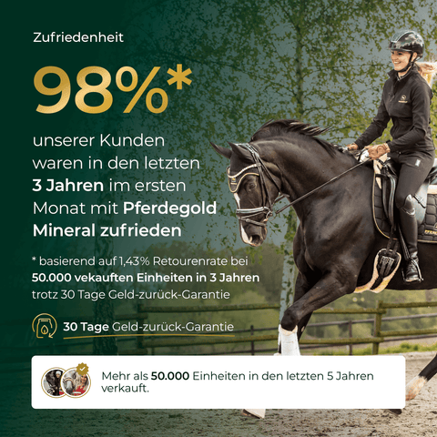Eine Frau reitet auf einem schwarzen Pferd; Text zeigt 98% Kundenzufriedenheit mit Pferdegold Mineral 2.0, dem bewährten Mineralfutter für Pferde.