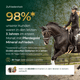 Eine Reiterin sitzt auf einem Pferd; Text informiert über 98 % Kundenzufriedenheit mit dem Pferdegold® Mineral 2.0 Nachfüllpack 3 kg.