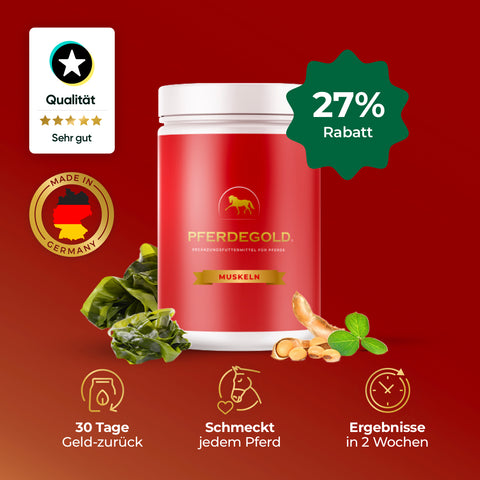 Pferdegold® Muskeln Tube 27%