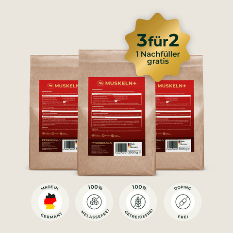 Drei braune Pferdegold® Muskeln+ Nachfüller 3für2-Taschen mit einem "3 für 2"-Angebot und darunter liegenden Symbolen, die die wichtigsten Merkmale hervorheben.