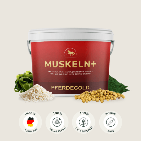 „Pferdegold Muskeln+“-Nahrungsergänzungsmittel-Eimer in Rot, mit Getreide, Samen, Algen und vier Zertifizierungssymbolen darunter – ideales Pferdefutter zur Förderung kräftiger Pferdemuskeln.