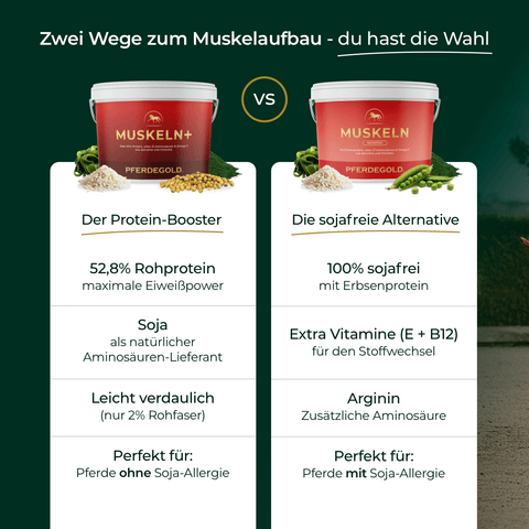 Vergleich von zwei Pferdegold®-Produkten für Muskelaufbau bei Pferden: Muskeln+ Nachfüller 3für2 und eine soja-freie Alternative.
