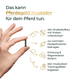 Hand hält eine Kapsel, daneben Text: Vorteile von Pferdegold® Muskeln+ Nachfüller 3für2 für Pferde, mit Icons und Stichpunkten.