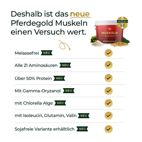 Entdecken Sie die Vorteile von Pferdegold® Muskeln 2.0 für Muskelaufbau beim Pferd mit leicht verständlichen Icons und Produktbild oben rechts. Ideal als Pferdefutter - jetzt 50% auf den 2. Eimer sichern!.