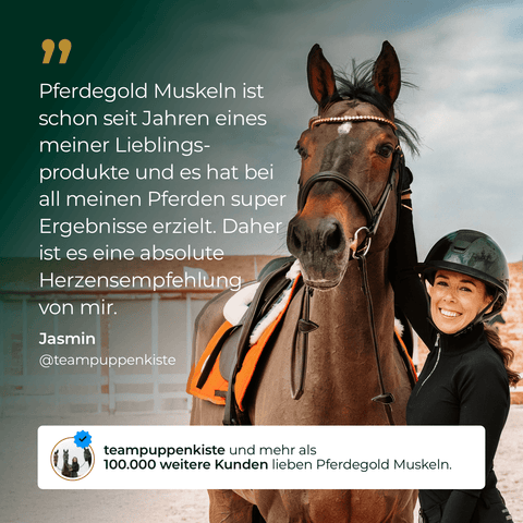 Eine lächelnde Frau in Reitkleidung steht neben einem braunen Pferd und erzählt von ihrem Erfahrungsbericht über Pferdegold® Muskeln+ Nachfüller 3für2.