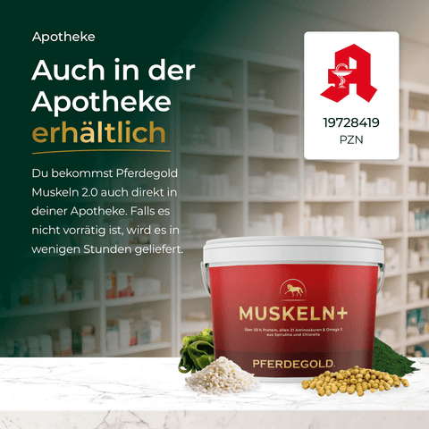 Pflegeprodukt und Kapseln vor Apothekenregal; Text bewirbt Muskeln+ Nachfüller 3für2 von Pferdegold®, in Apotheken erhältlich.