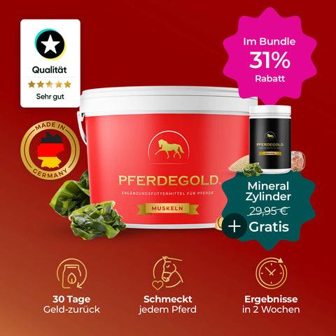 Pferdegold® Muskeln + gratis Mineral Zylinder - 31% Rabatt