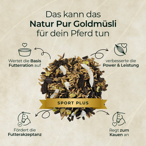 Ein Haufen Pferdegold® 3 für 2 - Goldmüsli Sport Plus mit deutschen Texten und Icons, die Vorteile wie Energie und Ausdauer hervorheben.