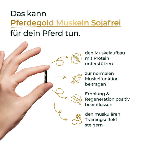 Hand hält Kapsel; daneben Text über Vorteile des sojafreien Pferdegold Muskeln 2.0 Pferdefutters für effektiven Muskelaufbau bei Pferden.