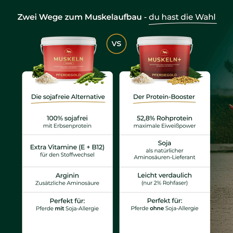 Grafik vergleicht zwei Proteinprodukte für den Muskelaufbau bei Pferden: "Muskeln 2.0 Sojafrei" von Pferdegold und eine proteinreiche Alternative - beide unterstützen gesunde Pferdemuskeln optimal.