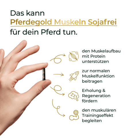 Hand hält eine Kapsel; daneben Text und Icons zu den Vorteilen von Pferdegold Muskeln 2.0 Sojafrei für gesunden Muskelaufbau bei Pferden - zur Unterstützung starker Pferdemuskulatur, komplett ohne Soja.