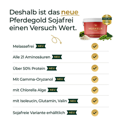 Entdecken Sie Pferdegold Muskeln 2.0 Sojafrei - das sojafreie Pferdefutter mit hohem Proteingehalt, allen Aminosäuren und ohne Melasse für optimalen Muskelaufbau Ihres Pferdes.