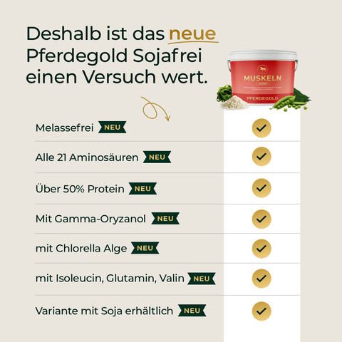 Die Produktmerkmale von „Muskeln 2.0 Sojafrei“ von Pferdegold – einschließlich der Vorteile für kräftige Muskeln und die allgemeine Gesundheit der Pferdemuskulatur – sind mit Häkchen und einem „sojafrei“-Label gekennzeichnet, was das Produkt zu einer hervorragenden Wahl für die speziellen Futterbedürfnisse Ihres Pferdes macht.