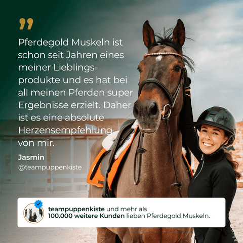 Eine lächelnde Frau in Reitklamotten steht neben einem braunen Pferd, darüber ist ein Testimonial über Pferdegold Muskeln 2.0 Sojafrei und seine Unterstützung für den Muskelaufbau beim Pferd eingeblendet.